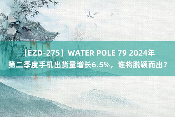 【EZD-275】WATER POLE 79 2024年第二季度手机出货量增长6.5%，谁将脱颖而出？