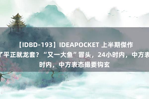 【IDBD-193】IDEAPOCKET 上半期傑作集2009 拿了平正就龙套？“又一大鱼”冒头，24小时内，中方表态撮要钩玄