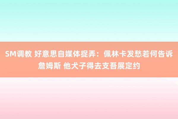 SM调教 好意思自媒体捉弄：佩林卡发愁若何告诉詹姆斯 他犬子得去支吾展定约