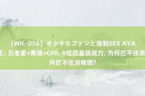 【WIL-056】オタキモファンと強制SEX AYA 海贼王: 五老星+黄猿+CP0， 6位四皇级战力， 为何拦不住凉帽团?