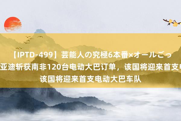 【IPTD-499】芸能人の究極6本番×オールごっくん AYA 比亚迪斩获南非120台电动大巴订单，该国将迎来首支电动大巴车队