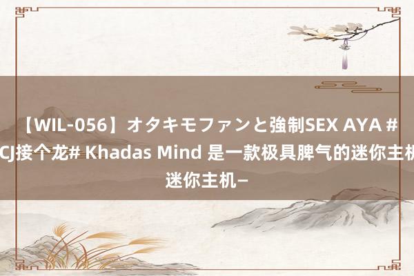 【WIL-056】オタキモファンと強制SEX AYA #来CJ接个龙# Khadas Mind 是一款极具脾气的迷你主机—