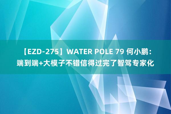 【EZD-275】WATER POLE 79 何小鹏：端到端+大模子不错信得过完了智驾专家化