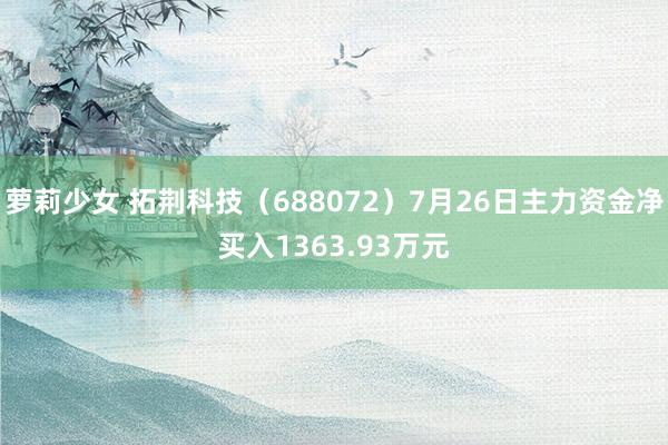 萝莉少女 拓荆科技（688072）7月26日主力资金净买入1363.93万元