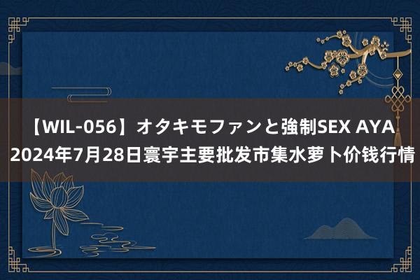 【WIL-056】オタキモファンと強制SEX AYA 2024年7月28日寰宇主要批发市集水萝卜价钱行情