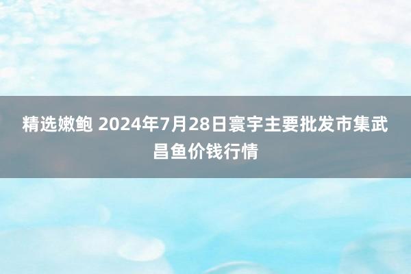 精选嫩鲍 2024年7月28日寰宇主要批发市集武昌鱼价钱行情