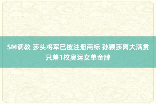 SM调教 莎头将军已被注册商标 孙颖莎离大满贯只差1枚奥运女单金牌