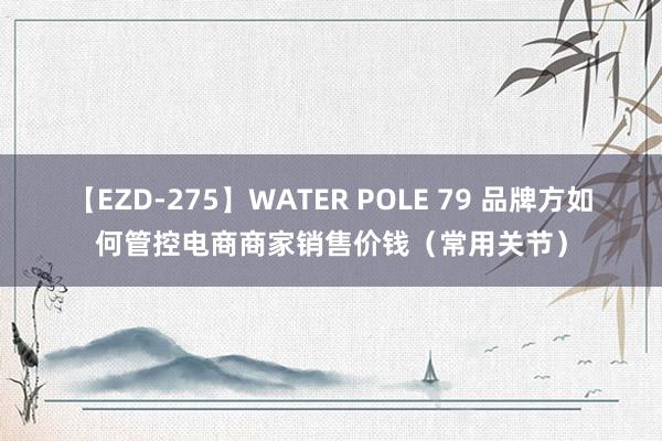 【EZD-275】WATER POLE 79 品牌方如何管控电商商家销售价钱（常用关节）