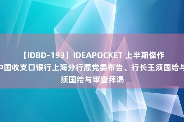 【IDBD-193】IDEAPOCKET 上半期傑作集2009 中国收支口银行上海分行原党委布告、行长王须国给与审查拜谒