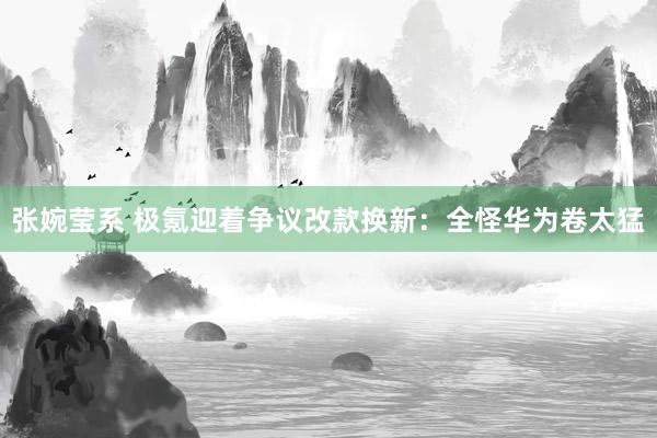 张婉莹系 极氪迎着争议改款换新：全怪华为卷太猛