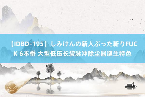 【IDBD-195】しみけんの新人ぶった斬りFUCK 6本番 大型低压长袋脉冲除尘器诞生特色