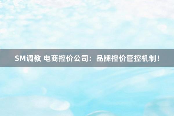 SM调教 电商控价公司：品牌控价管控机制！