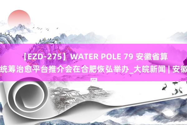 【EZD-275】WATER POLE 79 安徽省算力统筹治愈平台推介会在合肥恢弘举办_大皖新闻 | 安徽网