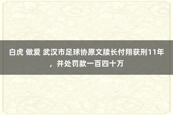 白虎 做爱 武汉市足球协原文牍长付翔获刑11年，并处罚款一百四十万