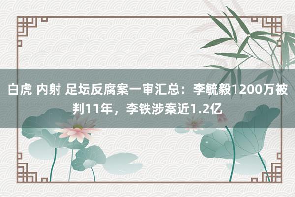 白虎 内射 足坛反腐案一审汇总：李毓毅1200万被判11年，李铁涉案近1.2亿