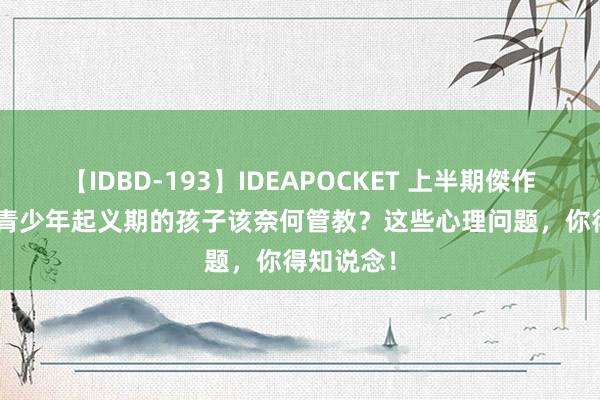 【IDBD-193】IDEAPOCKET 上半期傑作集2009 青少年起义期的孩子该奈何管教？这些心理问题，你得知说念！