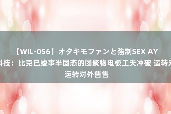 【WIL-056】オタキモファンと強制SEX AYA 长信科技：比克已竣事半固态的团聚物电板工夫冲破 运转对外售售