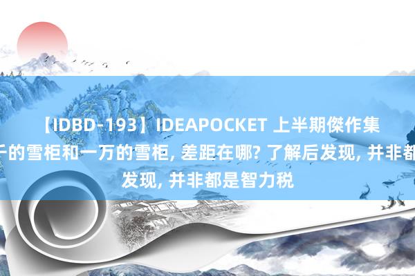 【IDBD-193】IDEAPOCKET 上半期傑作集2009 两千的雪柜和一万的雪柜， 差距在哪? 了解后发现， 并非都是智力税