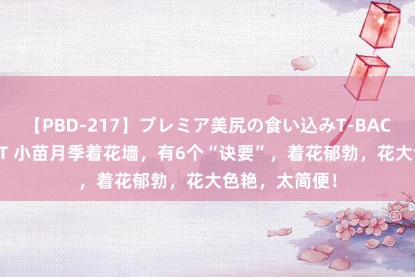 【PBD-217】プレミア美尻の食い込みT-BACK！8時間BEST 小苗月季着花墙，有6个“诀要”，着花郁勃，花大色艳，太简便！