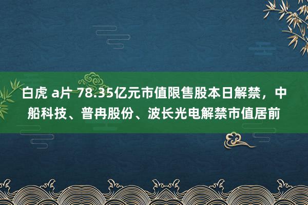 白虎 a片 78.35亿元市值限售股本日解禁，中船科技、普冉股份、波长光电解禁市值居前