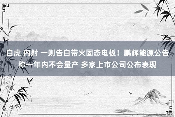 白虎 内射 一则告白带火固态电板！鹏辉能源公告称一年内不会量产 多家上市公司公布表现