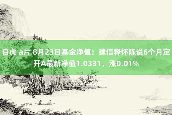 白虎 a片 8月23日基金净值：建信释怀陈说6个月定开A最新净值1.0331，涨0.01%