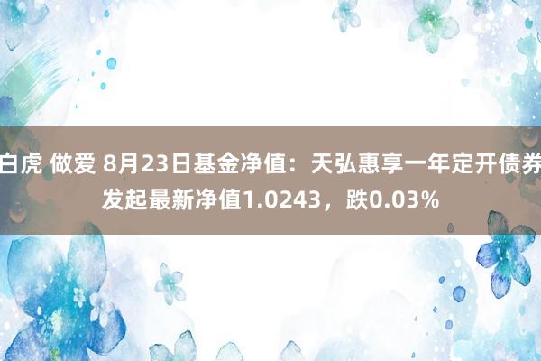 白虎 做爱 8月23日基金净值：天弘惠享一年定开债券发起最新净值1.0243，跌0.03%