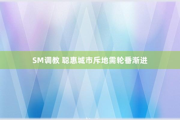 SM调教 聪惠城市斥地需轮番渐进