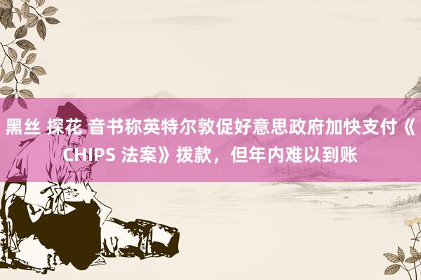 黑丝 探花 音书称英特尔敦促好意思政府加快支付《CHIPS 法案》拨款，但年内难以到账