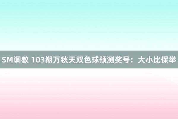 SM调教 103期万秋天双色球预测奖号：大小比保举