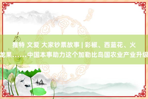 推特 文爱 大家钞票故事 | 彩椒、西蓝花、火龙果……中国本事助力这个加勒比岛国农业产业升级